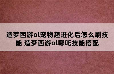 造梦西游ol宠物超进化后怎么刷技能 造梦西游ol哪吒技能搭配